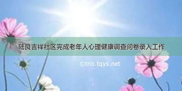 陆良吉祥社区完成老年人心理健康调查问卷录入工作