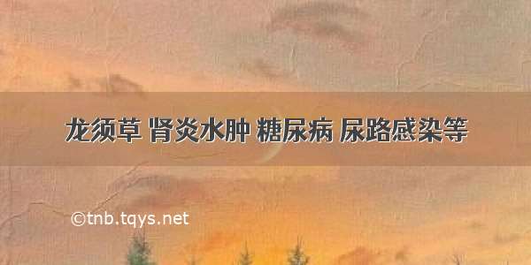 龙须草 肾炎水肿 糖尿病 尿路感染等