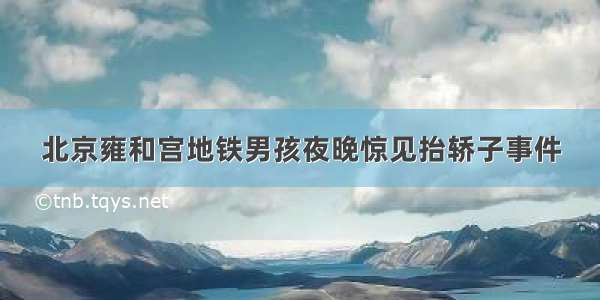 北京雍和宫地铁男孩夜晚惊见抬轿子事件