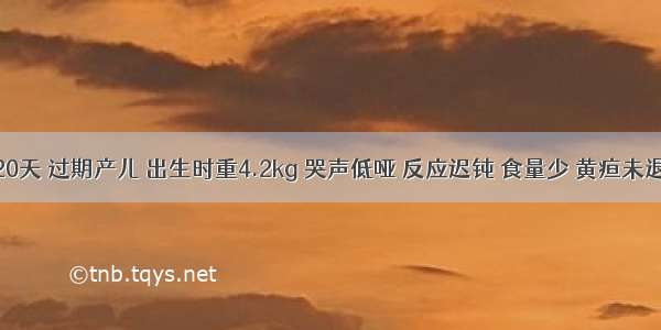 患儿 20天 过期产儿 出生时重4.2kg 哭声低哑 反应迟钝 食量少 黄疸未退 便秘