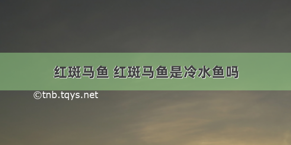 红斑马鱼 红斑马鱼是冷水鱼吗