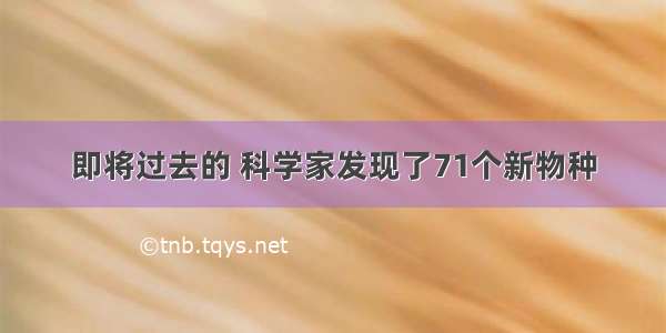 即将过去的 科学家发现了71个新物种