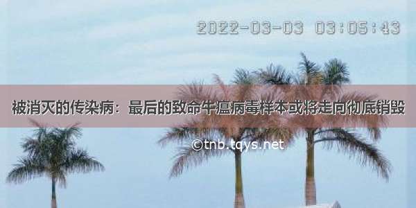 被消灭的传染病：最后的致命牛瘟病毒样本或将走向彻底销毁