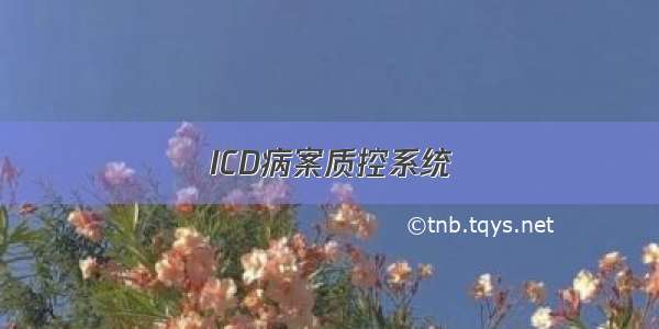 ICD病案质控系统