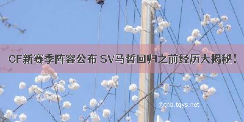 CF新赛季阵容公布 SV马哲回归之前经历大揭秘！