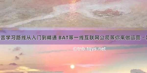 C语言学习路线从入门到精通 BAT等一线互联网公司等你来做运营 – 网络