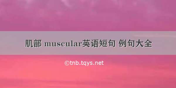 肌部 muscular英语短句 例句大全