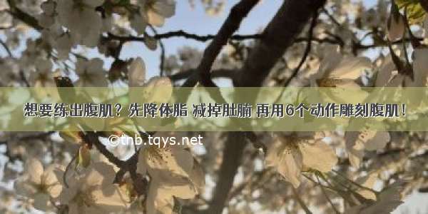 想要练出腹肌？先降体脂 减掉肚腩 再用6个动作雕刻腹肌！