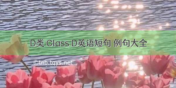 D类 Class D英语短句 例句大全