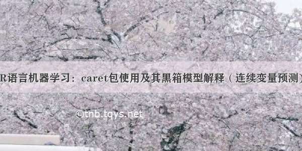 R语言机器学习：caret包使用及其黑箱模型解释（连续变量预测)