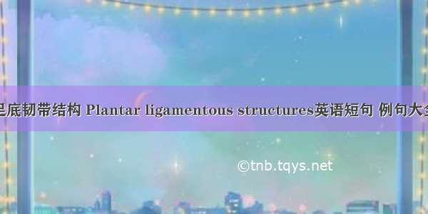足底韧带结构 Plantar ligamentous structures英语短句 例句大全