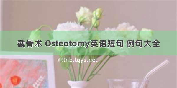 截骨术 Osteotomy英语短句 例句大全