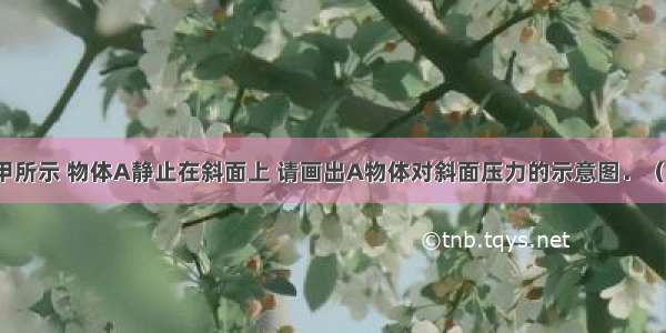 （1）如图甲所示 物体A静止在斜面上 请画出A物体对斜面压力的示意图．（2）如图乙是