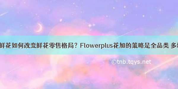 生活鲜花如何改变鲜花零售格局？Flowerplus花加的策略是全品类 多场景