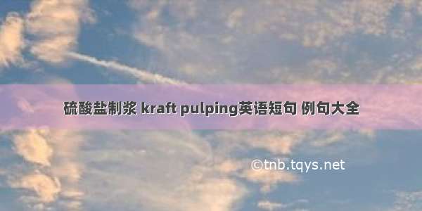 硫酸盐制浆 kraft pulping英语短句 例句大全