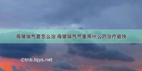 母猪喘气要怎么治 母猪喘气严重用什么药治疗最快