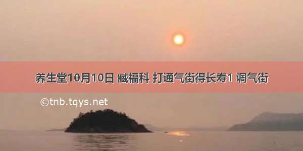 养生堂10月10日 臧福科 打通气街得长寿1 调气街