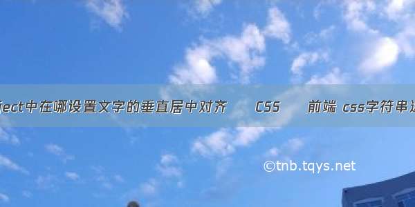 Project中在哪设置文字的垂直居中对齐 – CSS – 前端 css字符串运算