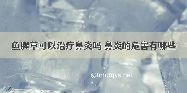 鱼腥草可以治疗鼻炎吗 鼻炎的危害有哪些