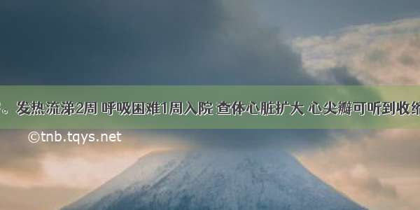 男性 20岁。发热流涕2周 呼吸困难1周入院 查体心脏扩大 心尖瓣可听到收缩期吹风样