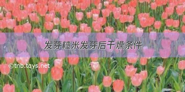 发芽糙米发芽后干燥条件