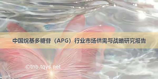 中国烷基多糖苷（APG）行业市场供需与战略研究报告