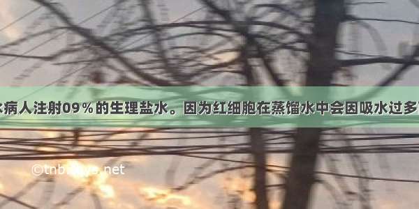 医生常给脱水病人注射09％的生理盐水。因为红细胞在蒸馏水中会因吸水过多而胀破；在浓