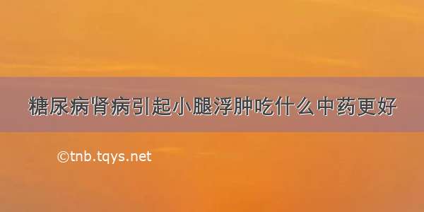 糖尿病肾病引起小腿浮肿吃什么中药更好