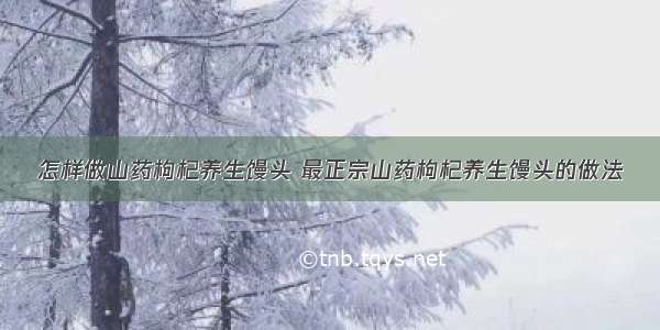 怎样做山药枸杞养生馒头 最正宗山药枸杞养生馒头的做法