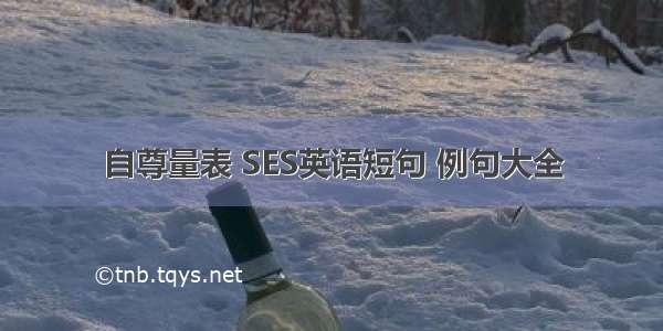 自尊量表 SES英语短句 例句大全