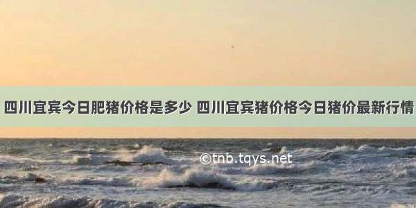 四川宜宾今日肥猪价格是多少 四川宜宾猪价格今日猪价最新行情