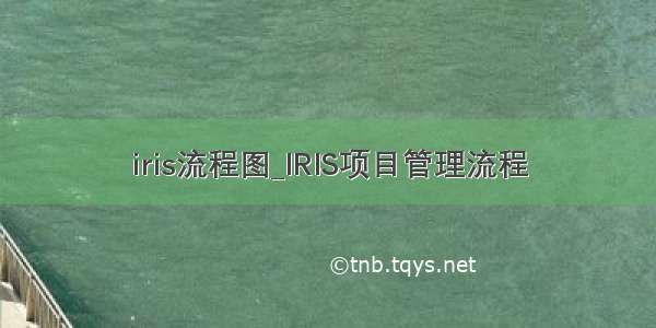 iris流程图_IRIS项目管理流程