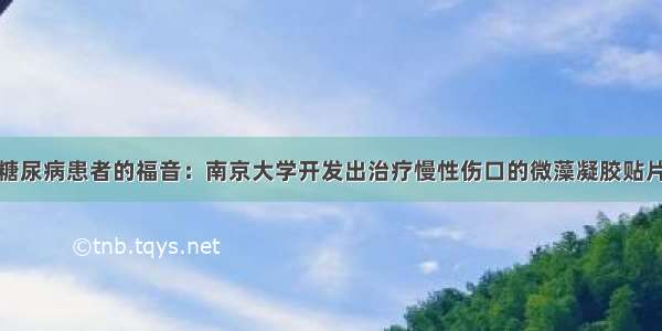 糖尿病患者的福音：南京大学开发出治疗慢性伤口的微藻凝胶贴片