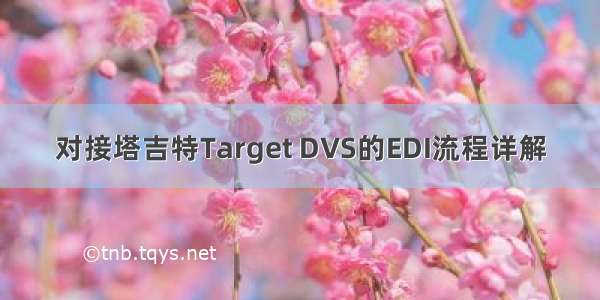 对接塔吉特Target DVS的EDI流程详解