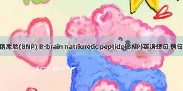 B型钠尿肽(BNP) B-brain natriuretic peptide(BNP)英语短句 例句大全
