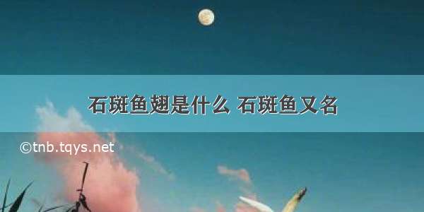 石斑鱼翅是什么 石斑鱼又名