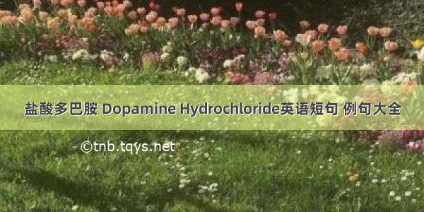 盐酸多巴胺 Dopamine Hydrochloride英语短句 例句大全