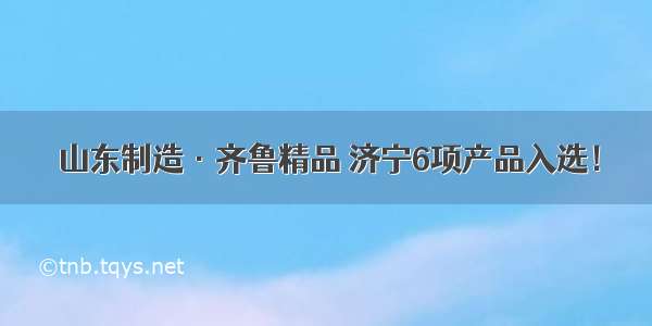 山东制造·齐鲁精品 济宁6项产品入选！