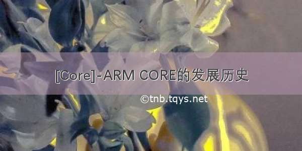 [Core]-ARM CORE的发展历史