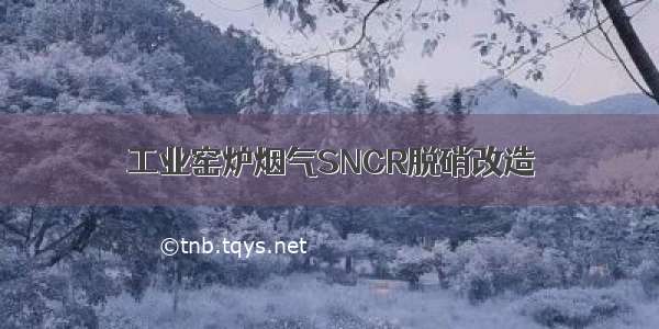 工业窑炉烟气SNCR脱硝改造