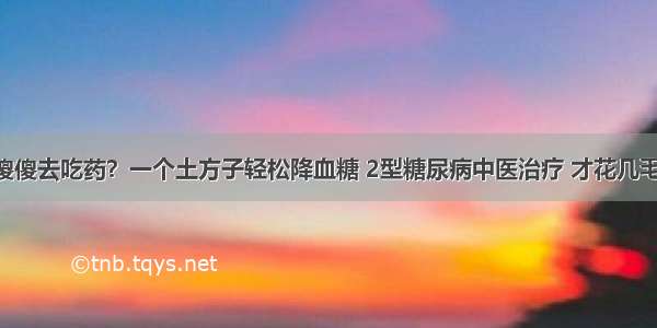 糖尿病就傻傻去吃药？一个土方子轻松降血糖 2型糖尿病中医治疗 才花几毛钱 特别适