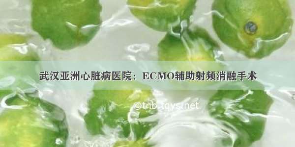 武汉亚洲心脏病医院：ECMO辅助射频消融手术