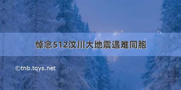 悼念512汶川大地震遇难同胞