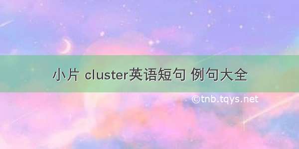 小片 cluster英语短句 例句大全