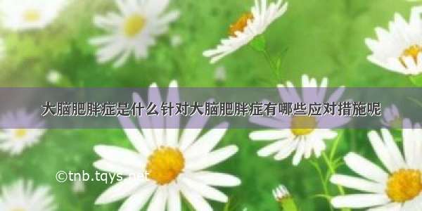 大脑肥胖症是什么针对大脑肥胖症有哪些应对措施呢