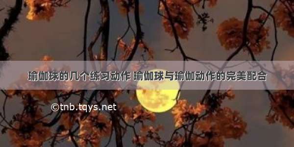 瑜伽球的几个练习动作 瑜伽球与瑜伽动作的完美配合