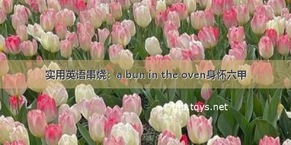 实用英语串烧：a bun in the oven身怀六甲