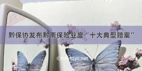 黔保协发布黔南保险业度“十大典型赔案”