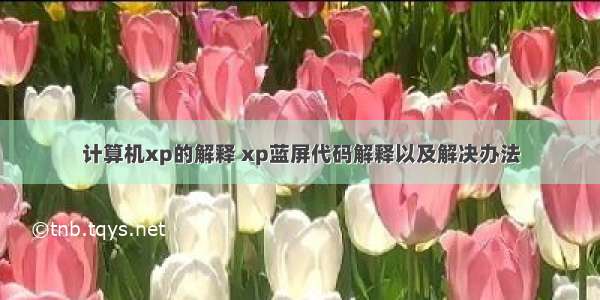 计算机xp的解释 xp蓝屏代码解释以及解决办法