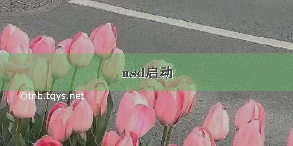 nsd启动